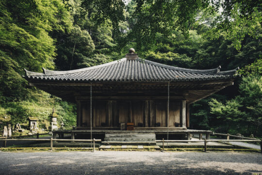 ～宇佐神宮、 御鎮座1300年 祈りの地をめぐる旅～ vol.8⛩️