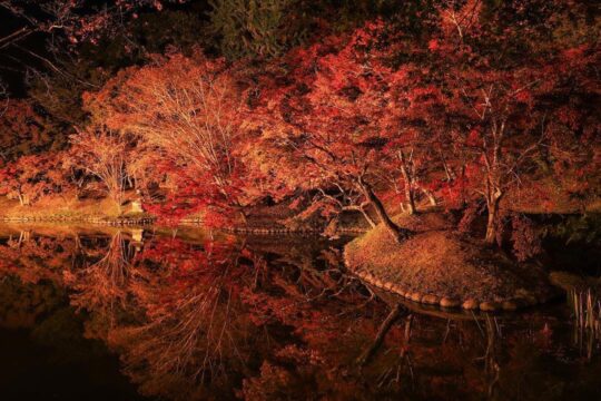 【この秋は、おおいたリトリート旅へ】秋の絶景巡り 大分で心を彩る景色探し