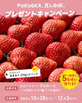 【FUKUOKA、真ん中旅。】抽選で5名様に『k’s farm あまおう』をプレゼント