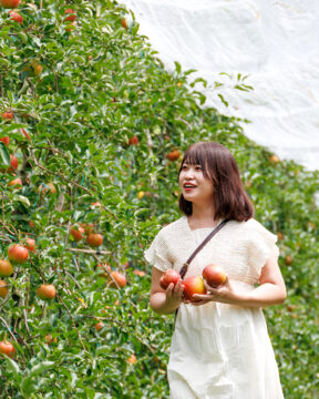 【FUKUOKA、真ん中旅。】フレッシュな甘さにうっとり。 家族みんなで、秋の思い出を収穫！ 「九州りんご村 三翠園」