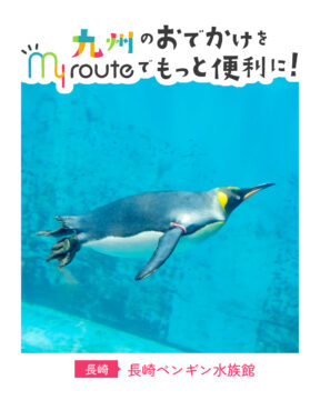 【バスで行く長崎観光🚌】世界最多！９種類のペンギンを飼育中🐧長崎ペンギン水族館