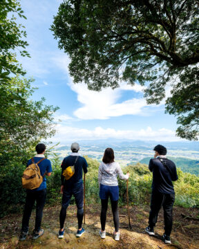 【FUKUOKA、真ん中旅。】登山デビューはここ！ ハイキング気分で楽しむ377ｍの山歩き 「弥山岳」