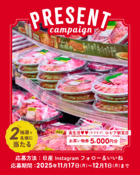 【日産福岡×おすすめドライブスポット】11月度プレゼントキャンペーン第2段🎁✨