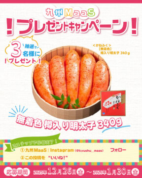 【九州MaaS】かねふく 無着色 樽入り明太子340gをプレゼント