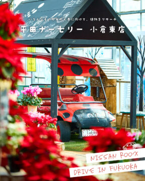 【日産福岡×ドライブスポット】いろんなものが芽吹く春に向けて、植物をリサーチ🍀平田ナーセリー小倉東店