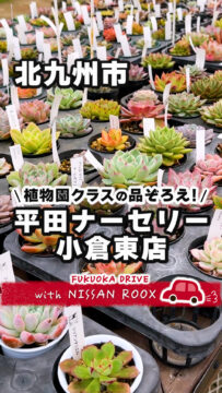 【日産】動画：ルークスで行く🚗平田ナーセリー