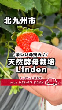 【日産】動画：ルークスで行く🚗天然酵母栽培Linden