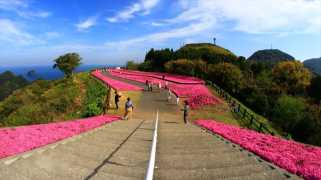 【春のおすすめスポット】大分県｜お花見といちごスイーツ②