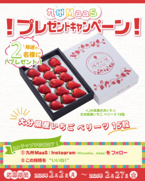 【九州MaaS】大分県産いちご ベリーツ１５粒をプレゼント🍓🎁
