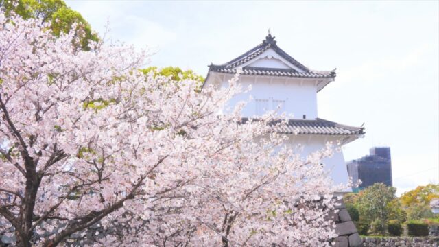 【春のおすすめスポット】大分県｜お花見といちごスイーツ①