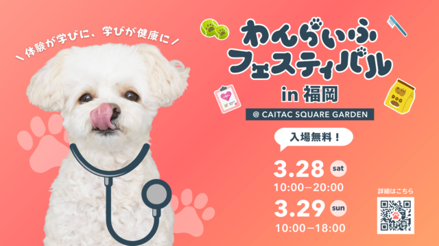 【福岡 イベント】ドッグヨガやセミナーなど、愛犬と一緒に楽しめる「わんらいふフェスティバル」開催！