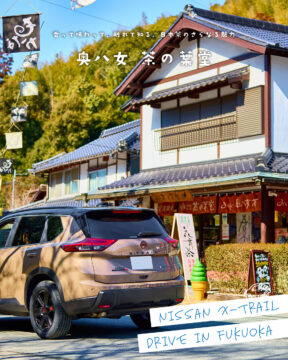 【日産福岡×ドライブスポット】香って味わって、触れて知る、日本茶のさらなる魅力🍵奥八女 茶の葉堂