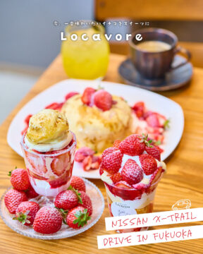 【日産福岡×ドライブスポット】今、一番味わいたいイチゴをスイーツに🍓Locavore（ロカヴォーレ）