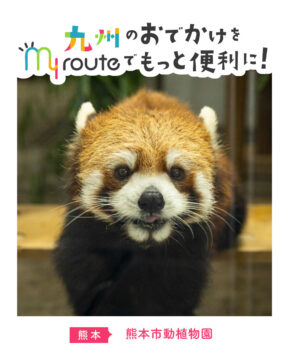 【電車･バスで行く熊本観光🚃🚌】珍しい動物に出会える！🐵熊本市動植物園