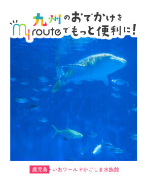 【電車とバスで行く鹿児島観光🚃🚌】観て、感じて、心に残る水族館体験🐟いおワールドかごしま水族館