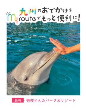 【船で行く長崎観光🚢】海×イルカ×アウトドアを一気に楽しむ贅沢体験🐬壱岐イルカパーク＆リゾート