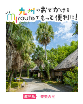 【電車で行く鹿児島観光🚃】自然と伝統に癒されるひとときを！🌴奄美の里