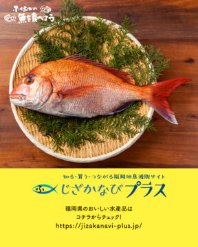 福岡の地魚を“知る・買う・つながる” 『じざかなびプラス』で、おいしい幸せを。