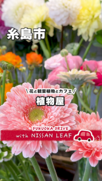 【日産】動画：リーフで行く🚗植物屋