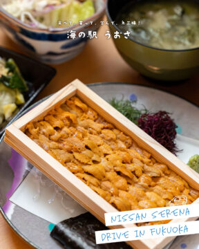 【日産福岡×ドライブスポット】食べて、買って、学んで、魚三昧！🐟海の駅うおざ