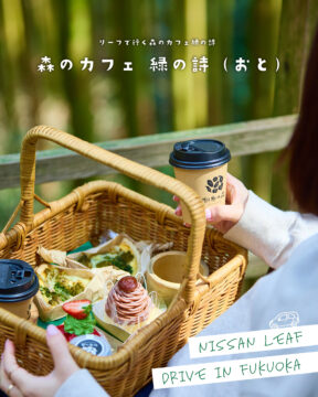 【日産福岡×ドライブスポット】森の妖精になった気分でのんびりと🎵森のカフェ緑の詩