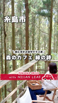【日産】動画：リーフで行く🚗森のカフェ 緑の詩