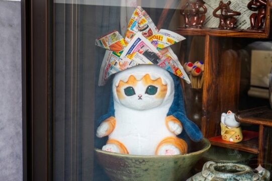 【大分県 安心院応援プロジェクト】「おもてなし」と出会う街歩き ― 鏝絵（こてえ）めぐり・安心院下毛エリア ―