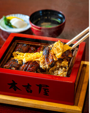 【電車で行く福岡観光🚃】柳川名物、至福の逸品🤤元祖本吉屋