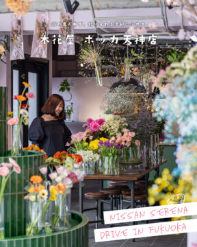 【日産福岡×ドライブスポット】街の真ん中で、移り変わる季節にふれて🌺木花屋ボッカ
