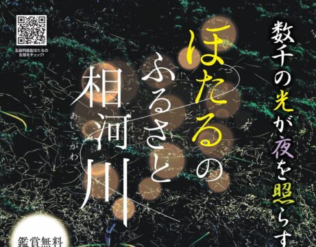 【長崎・五島列島】幻想的なほたるの季節到来！「ほたるのふるさと 相河川まつり」開催