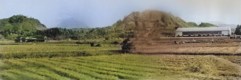 昭和３０年代　妻垣と龍王山を望む風景