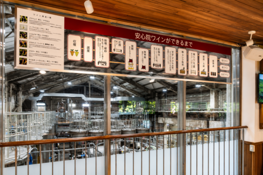 【大分県 安心院応援プロジェクト】「見て、歩いて、味わう！」安心院ワインの魅力に出会える場所『安心院葡萄酒工房』