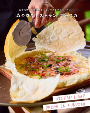 【日産福岡×ドライブスポット】森を抜けた先に現れる、とっておきのレストラン🍴森のログレストランアラスカ