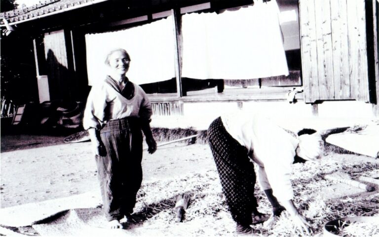 昭和３０年代の手作業による豆の収穫の様子
