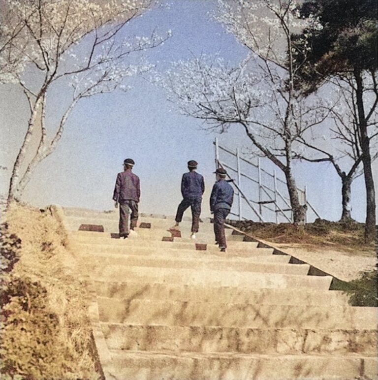 安心院中学校 登校の様子