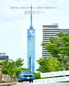 【日産福岡×ドライブスポット】国内では、東京スカイツリー、東京タワーに次ぐタワー！🗼福岡タワー