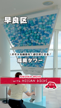 【日産福岡】動画：日産新型キックスで行く🚗福岡タワー