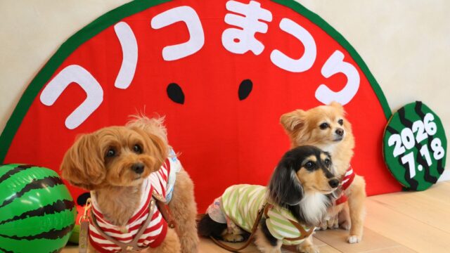 全国からわんちゃんが集合！「コノコトトモニ」の第2回コノコ祭りが開催