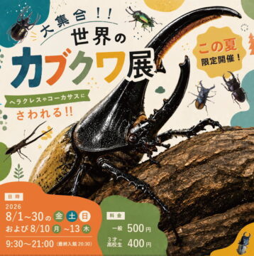 【イベント】夏休みのお出かけに！ 宇部市で開催中の「世界のカブクワ展」がいよいよラスト！ 29日には幼虫育て方講座も！