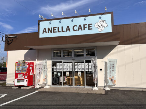 【ニューオープン】福岡2店舗目！ 保護犬猫と触れ合える「ANELLA CAFE 箱崎店」