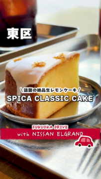 【日産福岡】動画：日産新型エルグランドで行く🚗SPICA CLASSIC CAKE