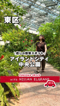 【日産福岡】動画：日産新型エルグランドで行く🚗アイランドシティ中央公園