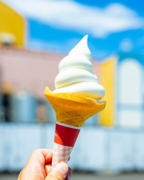 【バスで行く長崎観光🚌】工場直営！島原牛乳たっぷりの絶品ソフト🍦ふれあい工房