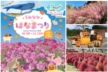 福岡市東区｜100万本のコスモスにハロウィンも 国営海の中道海浜公園で『うみなか＊はなまつり2026』10月3日から開催