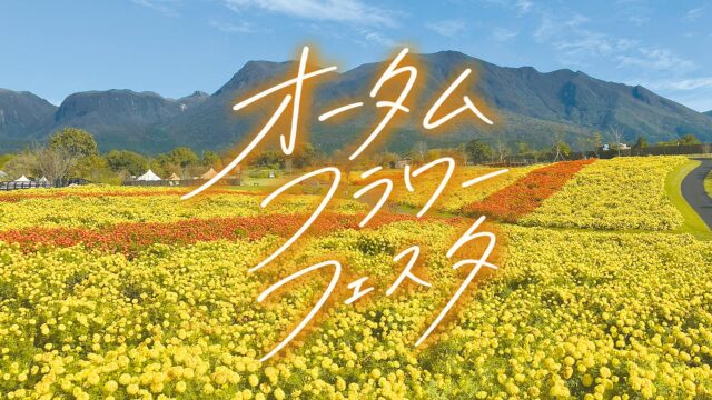 【大分 イベント】標高850mの絶景！ 「くじゅう花公園」で開催中のオータムフラワーフェスタ